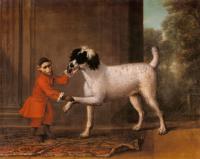 Wootton, John - A Favorite Poodle And Monkey Belonging To Thomas Osborn